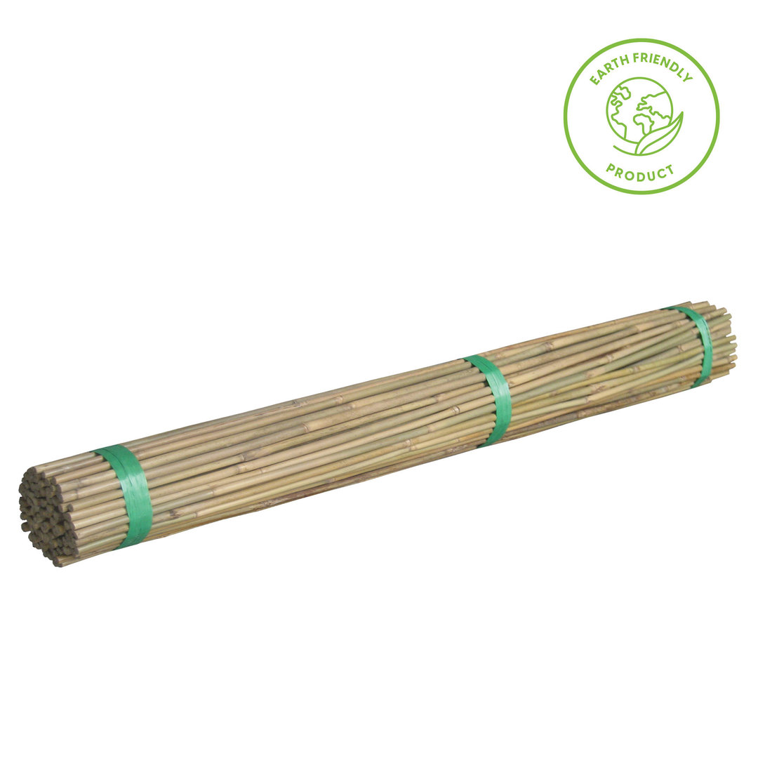 Bamboo Canes 500-2400mmL 100 Pack image 1