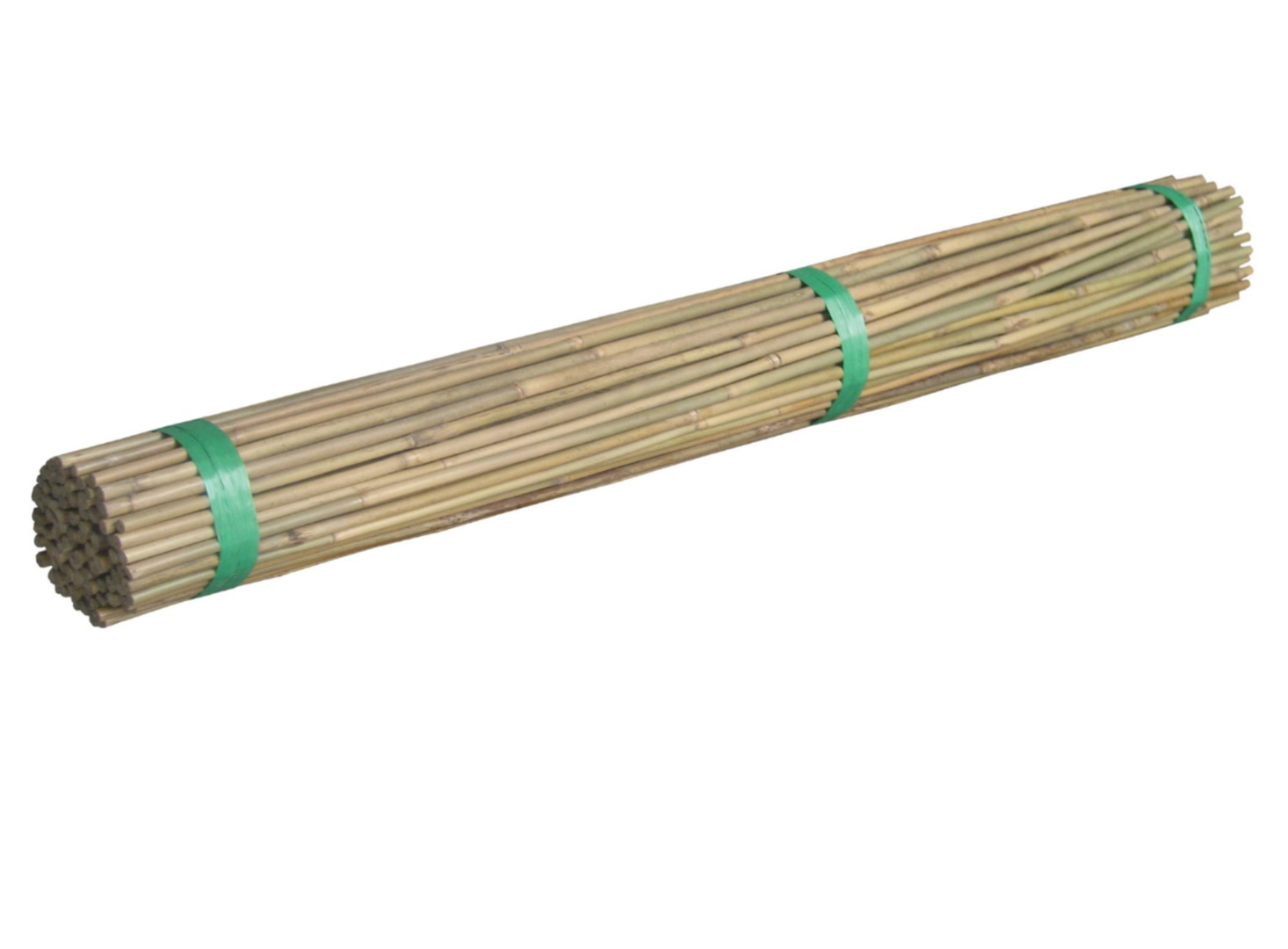 Bamboo Canes 500-2400mmL 100 Pack image 0