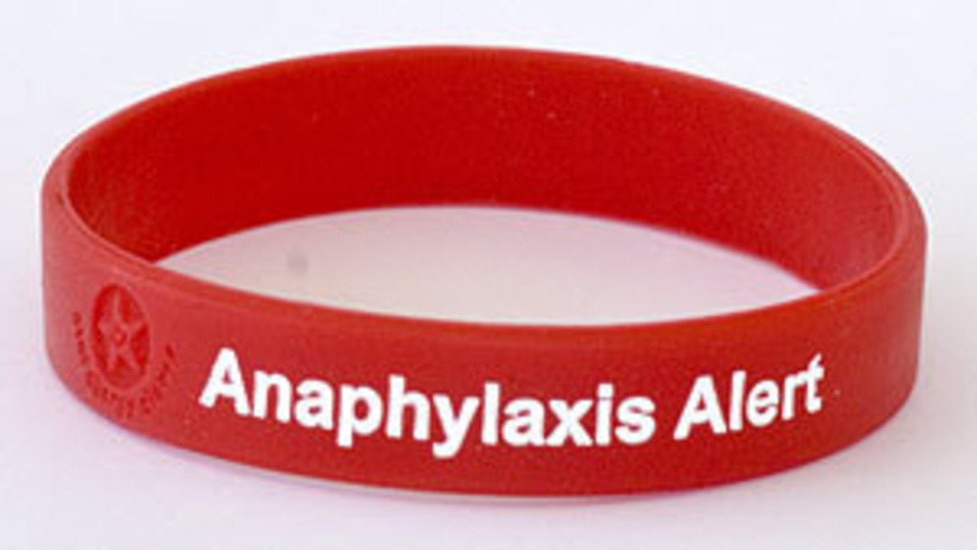 Silicone Anaphylaxis Alert Wristband image 0