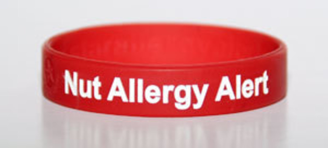 Silicone Nut Allergy Wristband image 0