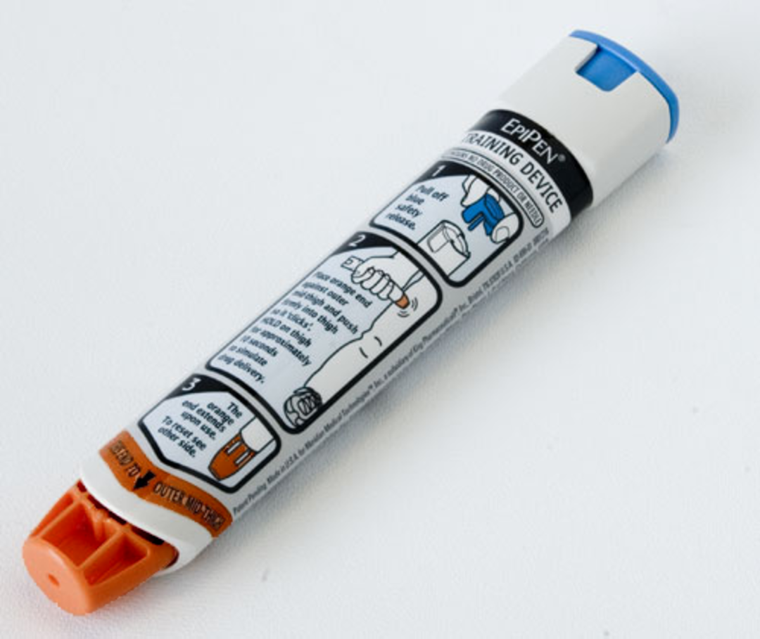 EpiPen® Training/Practice Pen image 0