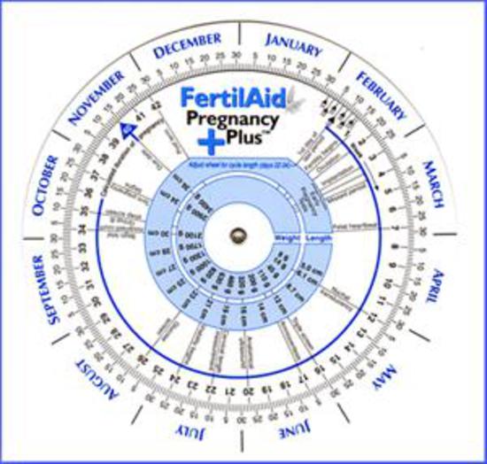 Ovulation Prediction Calendar Stages Of Pregnancy Wheel