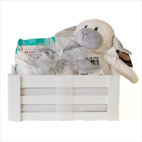 A Kiwi Baby Gift Crate image 0