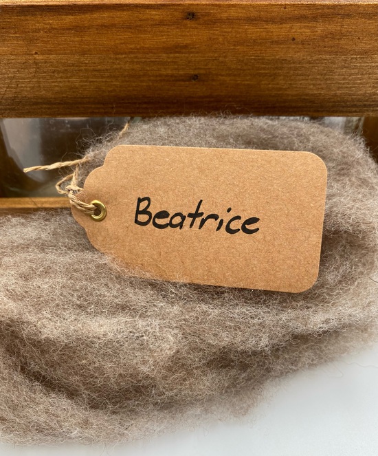 Single Sheep Carded Wool Release - Beatrice  (300 Gram Bags) image 0