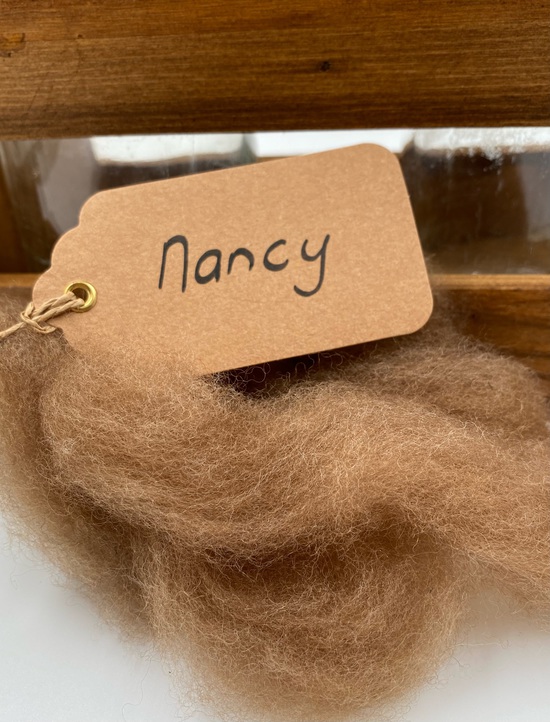 Single Sheep Carded Wool Release - Nancy  (300 Gram Bags) image 0