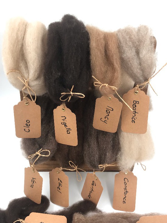 Single Sheep Carded Wool Release - Cleo (300 Gram Bags) image 1