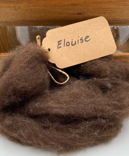 Single Sheep Carded Wool Release - Elouise  (300 Gram Bags) image 0