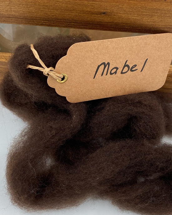 Single Sheep Carded Wool Release - Mabel (300 Gram Bags) image 0