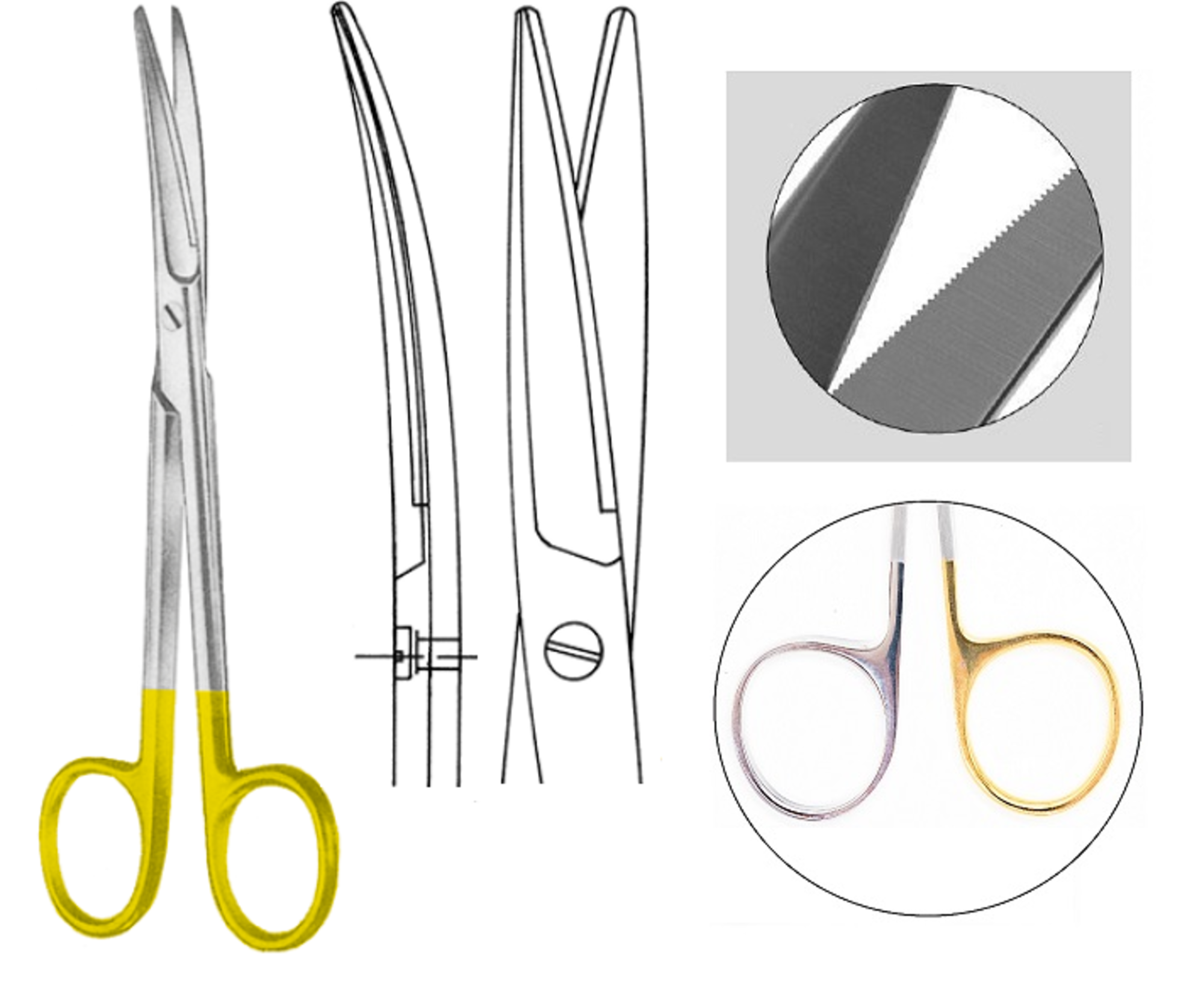 https://images.zeald.com/ic/capesmedicalsuppliesnz/3657175767/ac911-14sc-nopa-mayo-dissecting-scissor-tc-curved-blunt-blunt-14.5cm.png