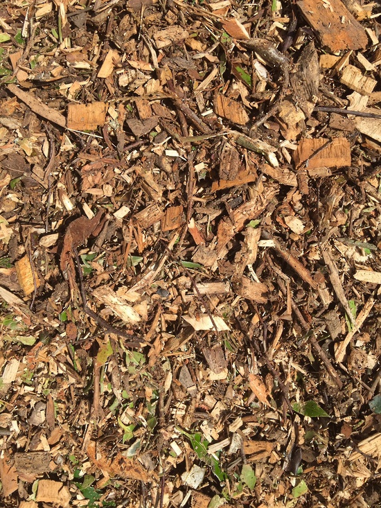 Gardening with Woodchips: What, Why, How and Who? - The Permaculture  Research Institute