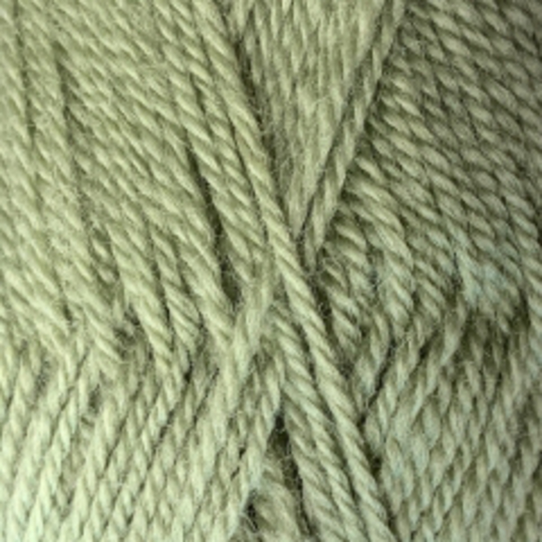 Crucci Ferndale: Pure 100%  NZ Wool 8 Ply Yarn - Soft Green image 0