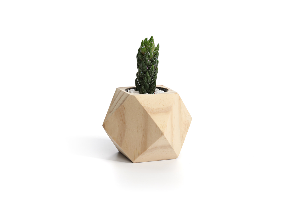 GEOMETRIC PLANTERS   SOLD OUT image 5