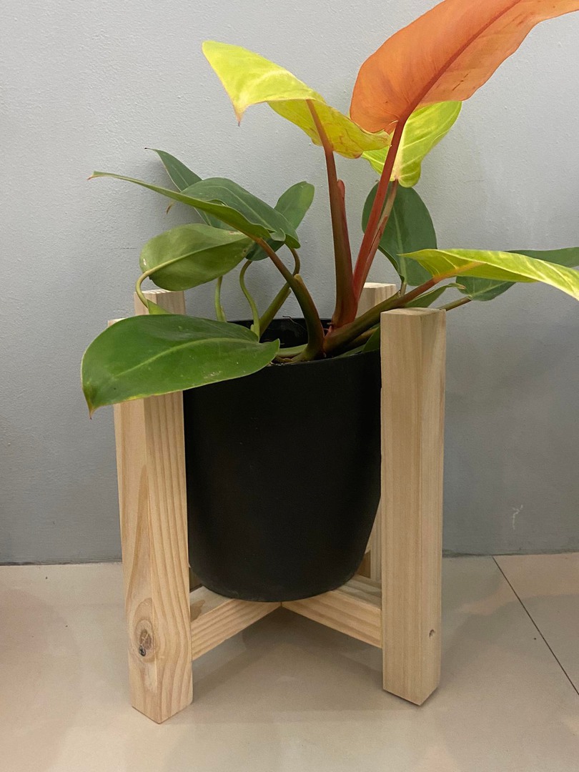 Kaela Plant Stand image 6