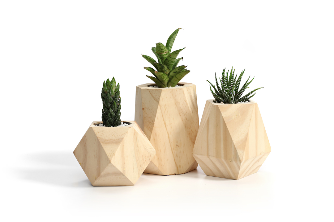 GEOMETRIC PLANTERS   SOLD OUT image 4