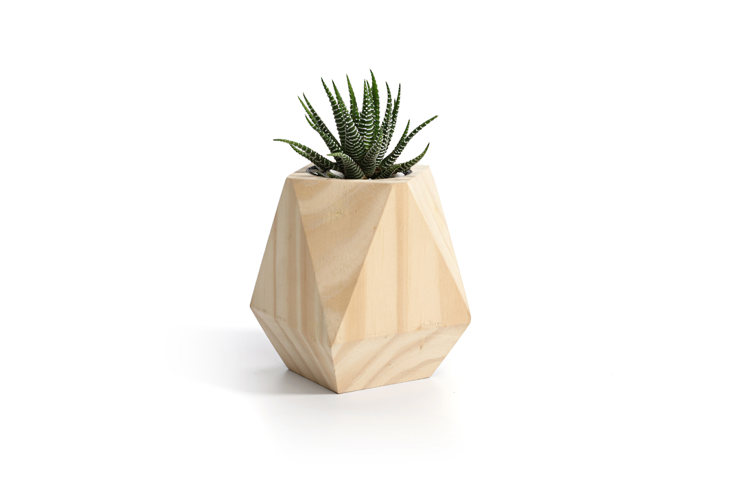 GEOMETRIC PLANTERS   SOLD OUT image 2