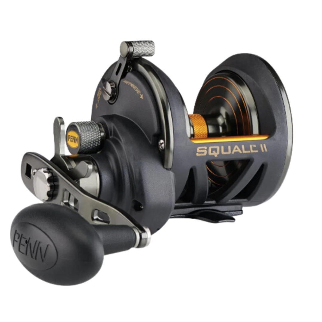 Penn Squall II 25N Star Drag Reel image 0