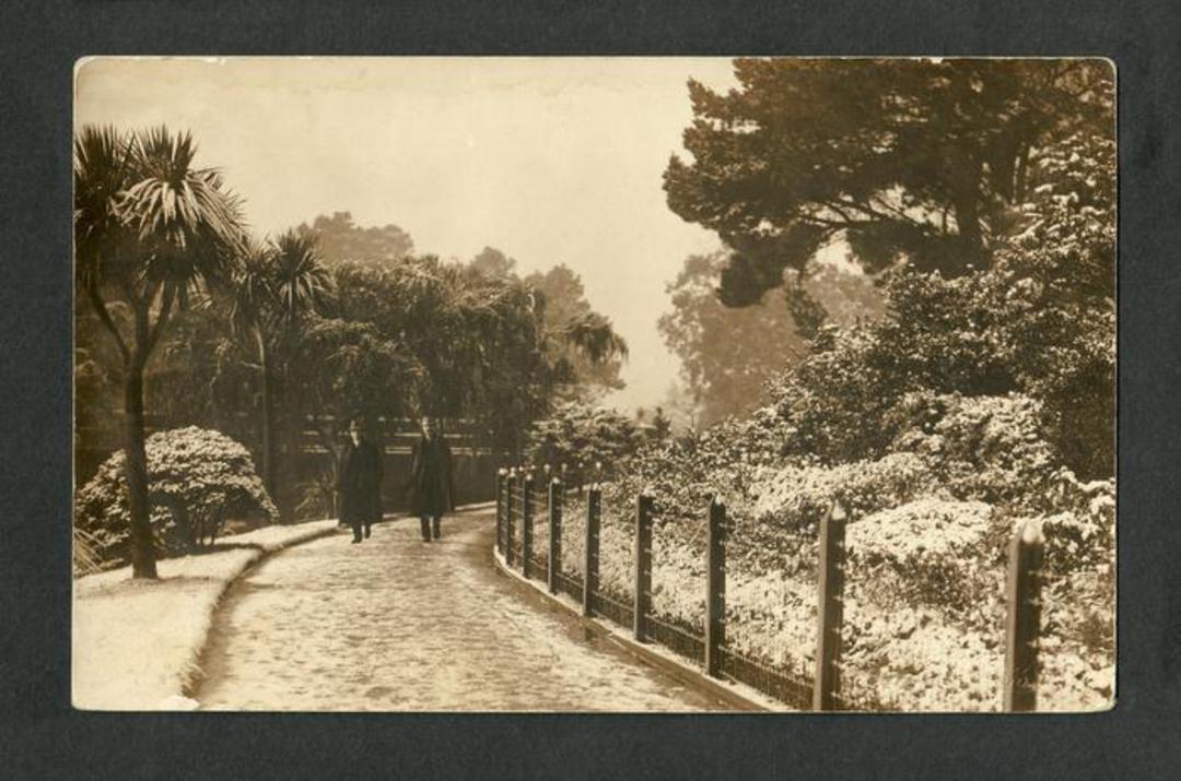 Early Undivided Real Photograph of Botannical Gardens Dunedin. - 49223 - Postcard image 0