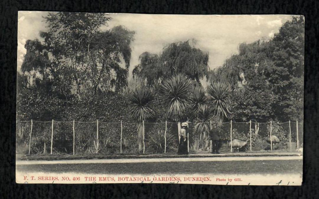 Early Undivided Postcard of The Emus Botannical Gardens Dunedin. - 49117 - Postcard image 0