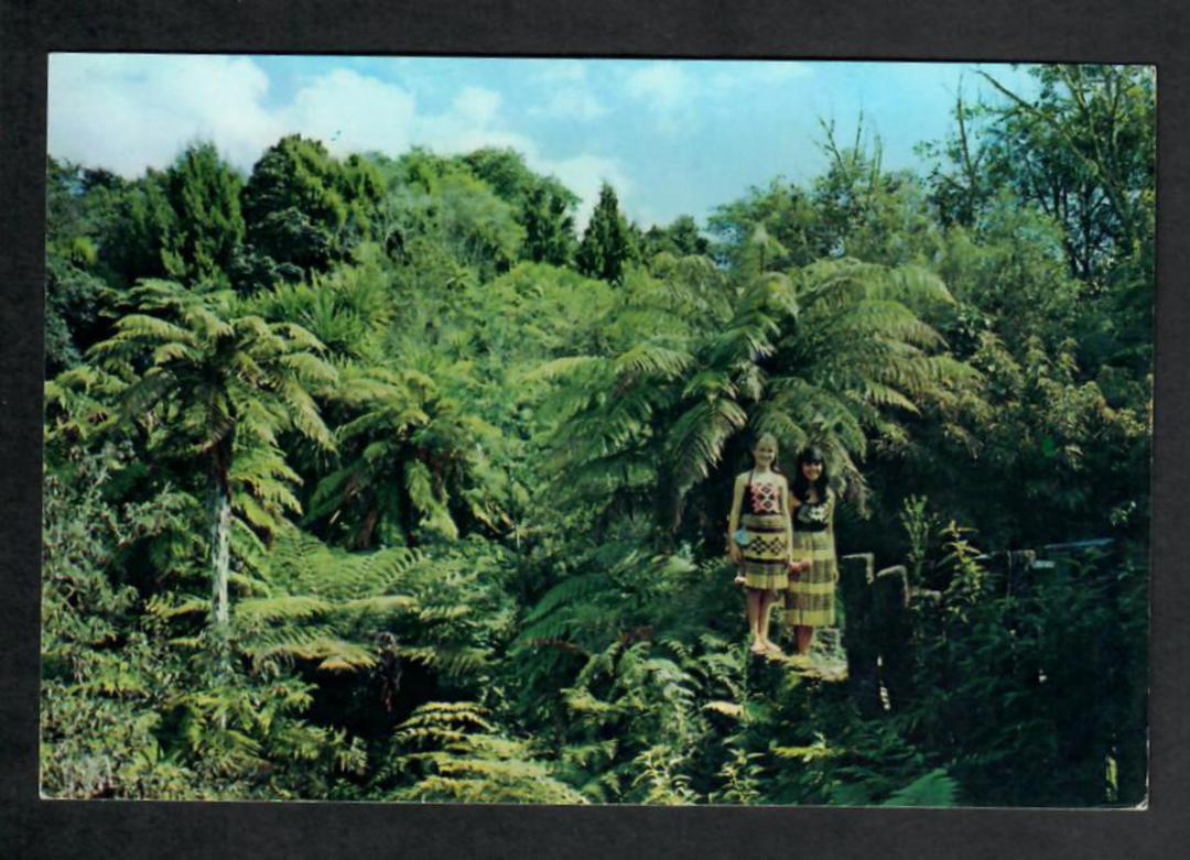 Modern Coloured Postcard by Gladys Goodall of Fairy Springs Rotorua. - 444042 - Postcard image 0