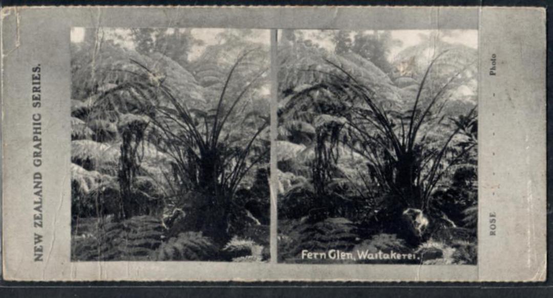 Stereo card New Zealand Graphic series of Fern Glen Waitakerei. - 140087 - Postcard image 0