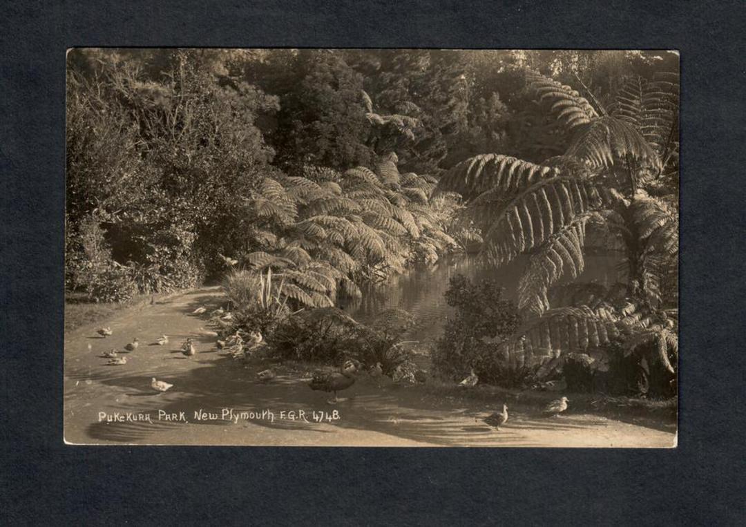Real Photograph by Radcliffe of Pukekura Park New Plymouth. - 46983 - Postcard image 0