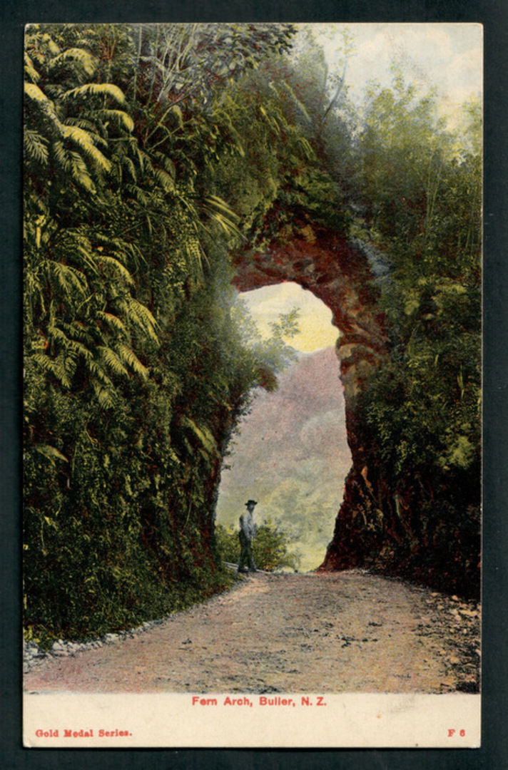 Coloured postcard of the Fern Arch Buller. - 48817 - Postcard image 0