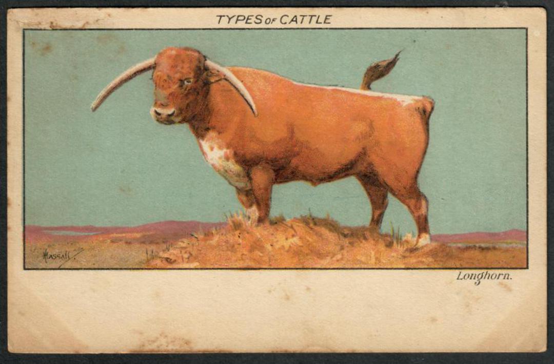 LONGHORN BULL from the series "TYpes of Cattle" Coloured Postcard. - 441447 - Postcard image 0