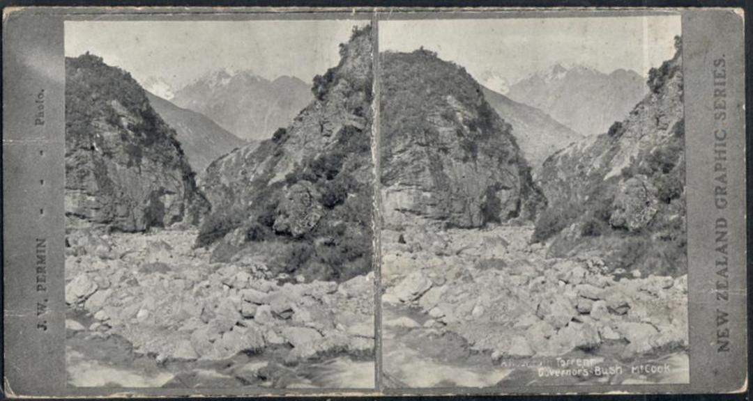 Stereo card New Zealand Graphic series. Torrent Governor's Bush Mt Cook. - 140065 - Postcard image 0