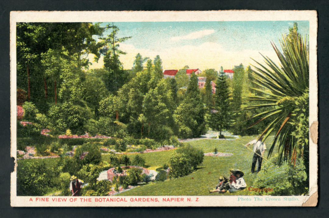 Coloured postcard of Botannical Gardens Napier. - 47899 - Postcard image 0