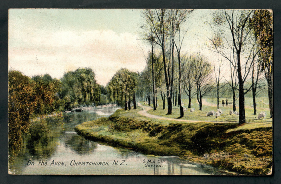 Coloured postcard. On the Avon Christchurch. - 48323 - Postcard image 0
