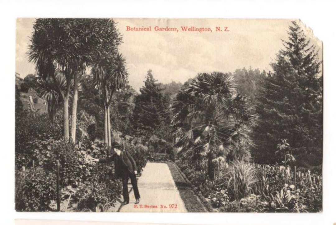 Postcard of Botannical Gardens Wellington. NEW ZEALAND Postmark Wellington WELLINGTON. C Class cancel dated 17/2/1904. One corne image 0