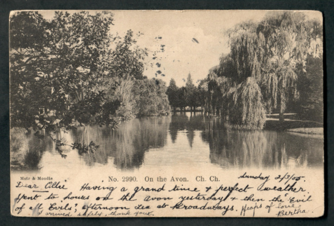 Early Undivided Postcard by Muir & Moodie. On the Avon Christchurch. - 48540 - Postcard image 0