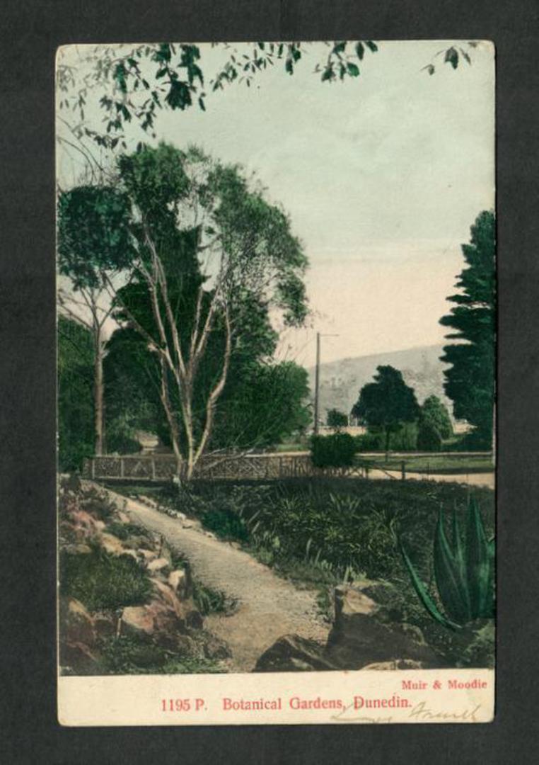Coloured postcard by Muir and Moodie of Botannical Gardens Dunedin. - 49291 - Postcard image 0