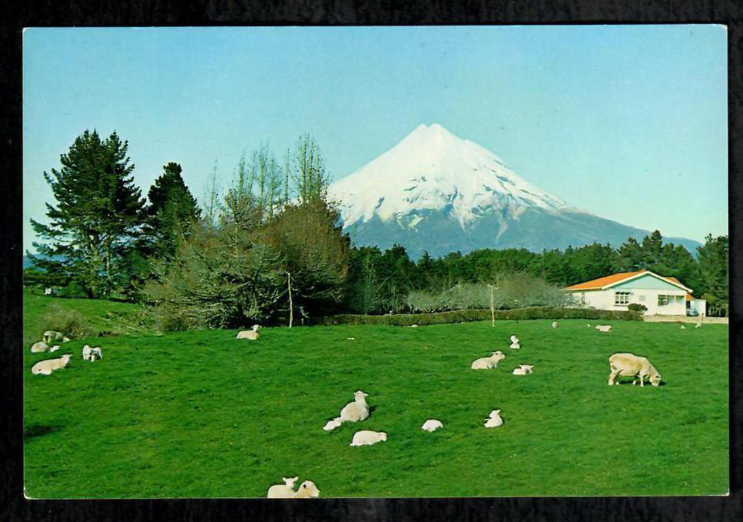 Modern Coloured Postcard by Gladys Goodall of Mt Egmont - 444008 - Postcard image 0
