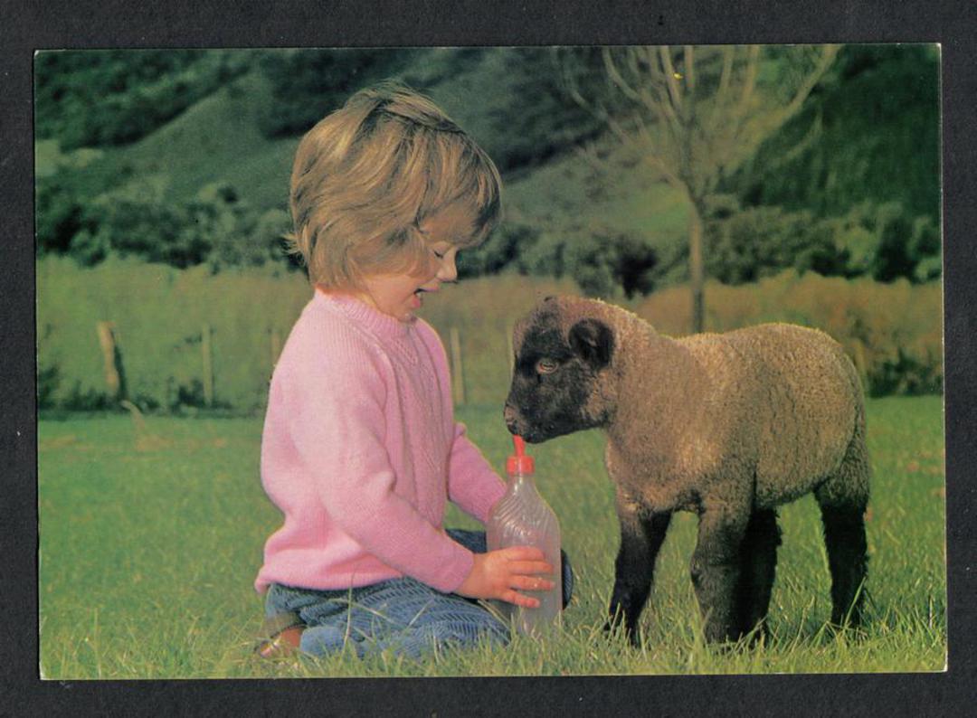 Modern Coloured Postcard by Gladys Goodall of Pet Suffolk Lamb. - 444339 - Postcard image 0