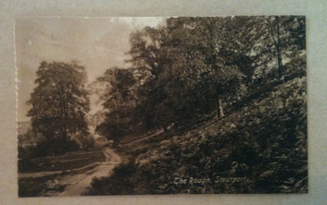 Sepia Postcard of The Rough Stourport. - 242576 - Postcard image 0