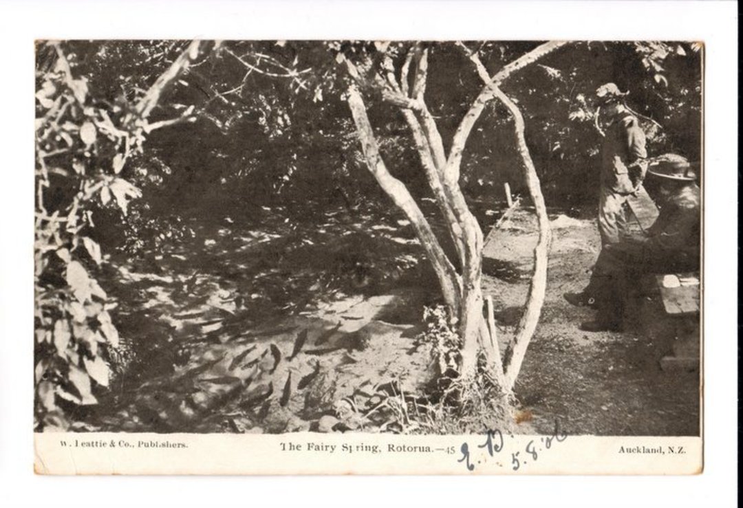 Postcard of The Fairy Spring Rotorua. - 46243 - Postcard image 0