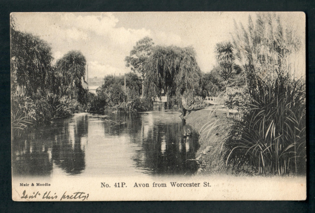 Early Undivided Postcard by Muir & Moodie of the Avon from Worcester Street Christchurch. - 248538 - Postcard image 0