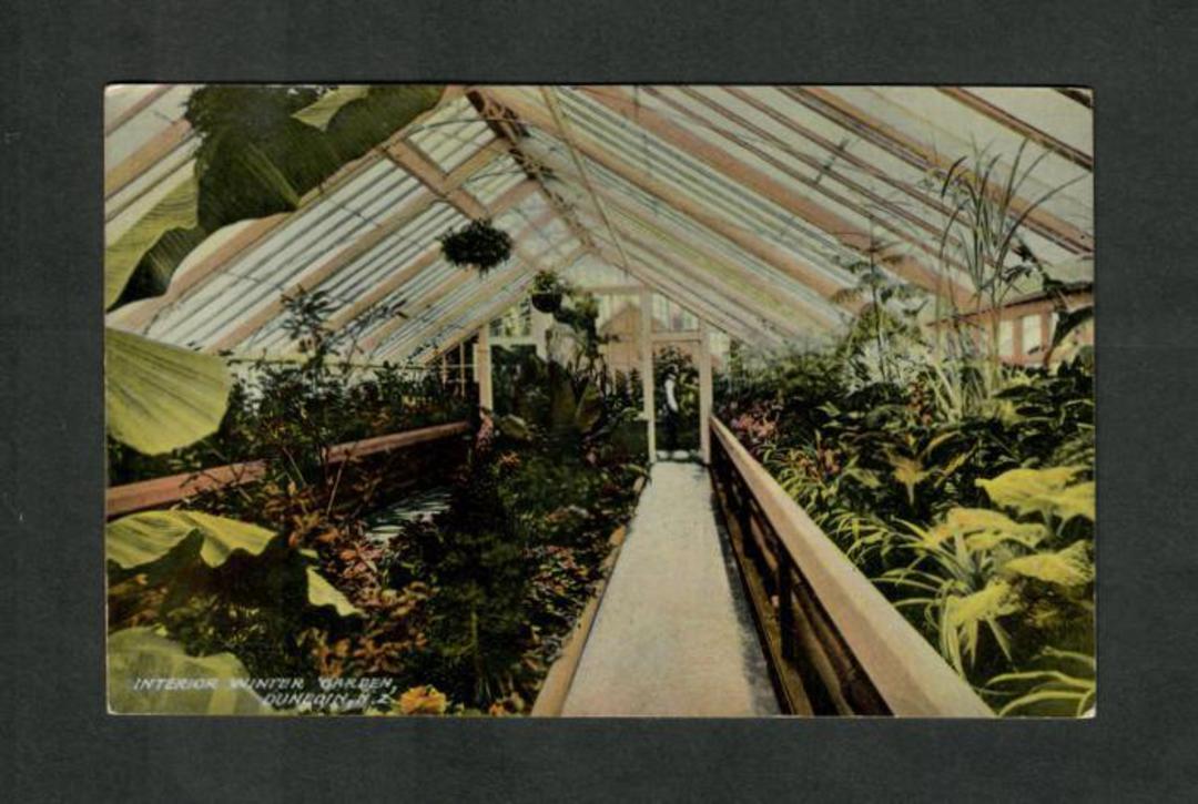 Coloured Postcard of Interior Winter Garden Dunedin. - 49262 - Postcard image 0