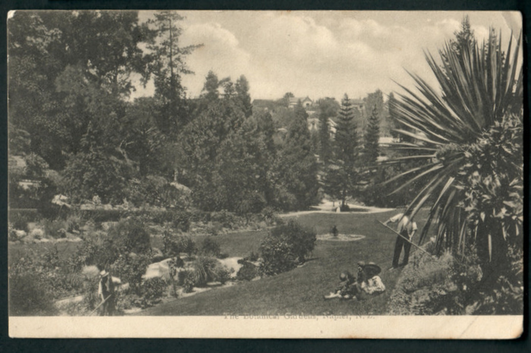 Postcard of Botannical Gardens Napier. - 48079 - Postcard image 0