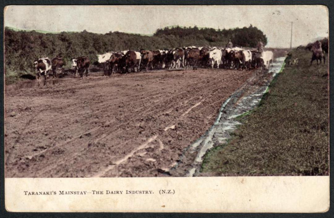 TARANAKIs Mainstay. The Dairy Property. Coloured Postcard. - 46923 - Postcard image 0