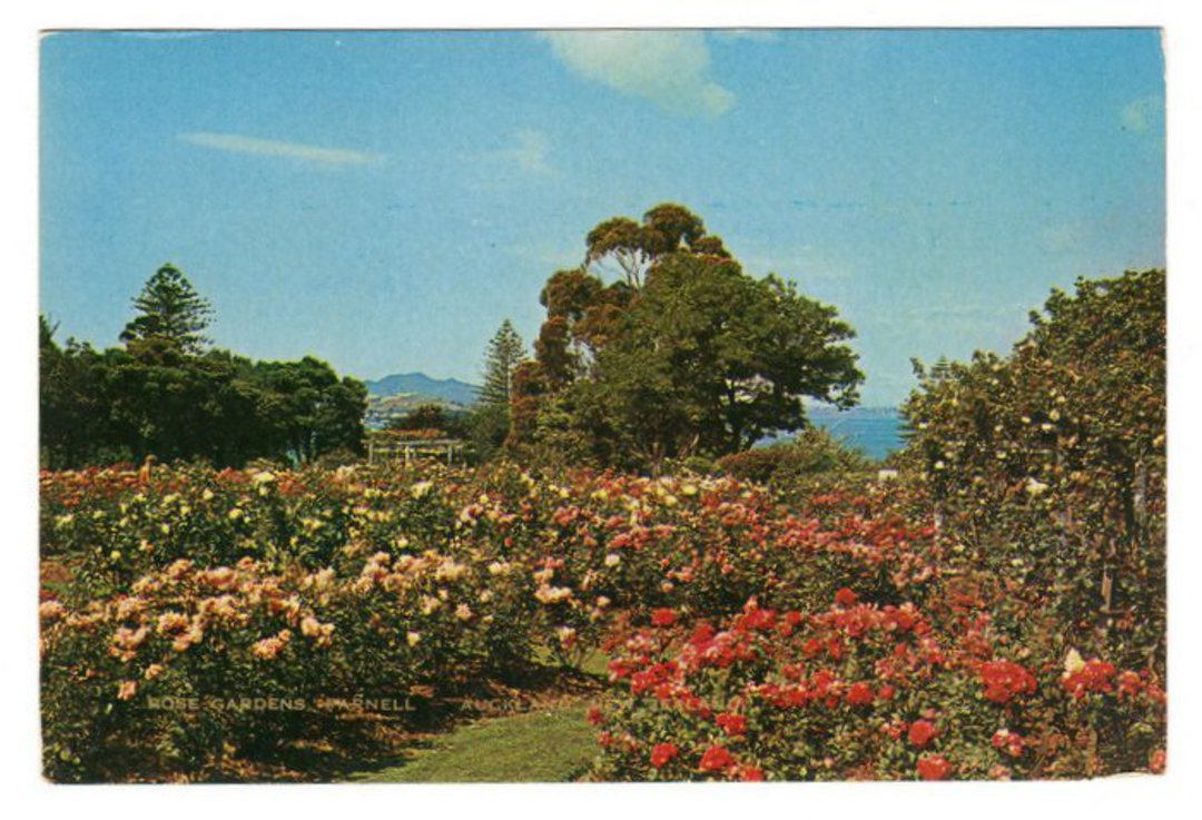 Modern Coloured Postcard by G B Scott of Parnell Rose Gardens. - 445220 - Postcard image 0