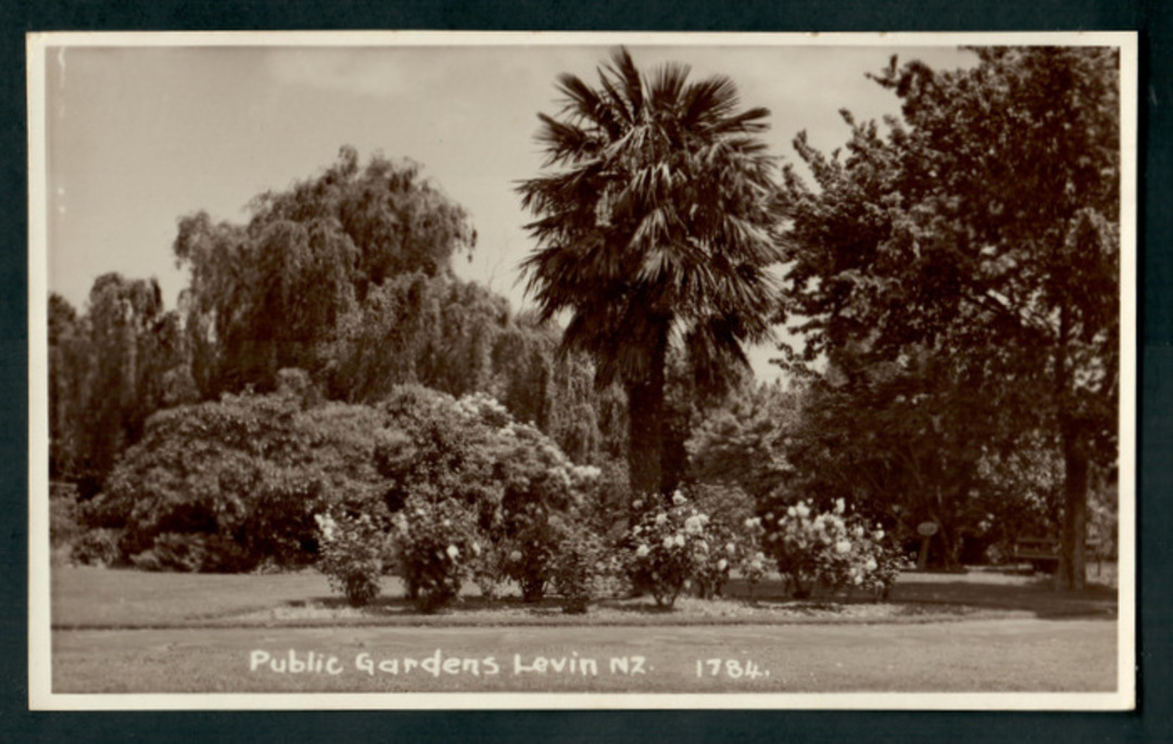 Real Photograph of Levin Gardens. - 47315 - Postcard image 0