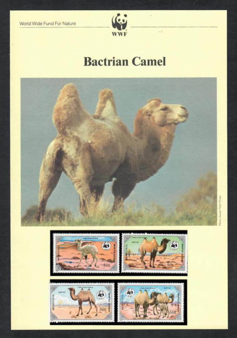 MONGOLIA 1985 World Wildfile Fund. Bactrian Camel. Set of 4 in mint never hinged and on first day covers with 6 pages of officia image 0