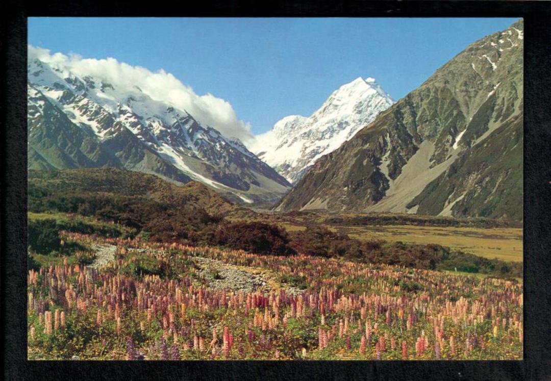 Modern Coloured Postcard of Mt Cook and the Hooker Valley. - 448855 - Postcard image 0