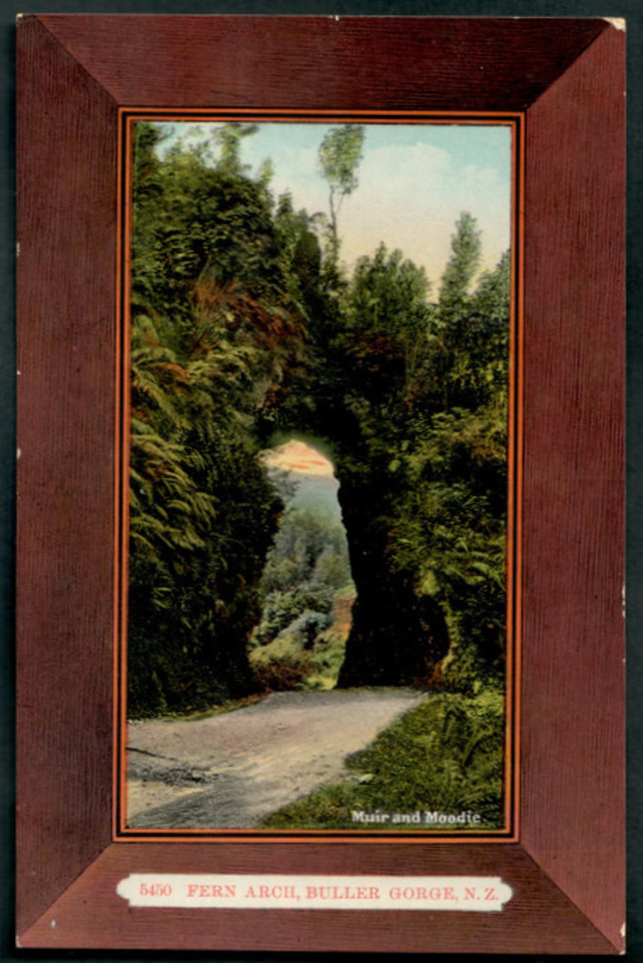 Coloured postcard by Muir and Moodie of Fern Arch Buller Gorge. - 48847 - Postcard image 0