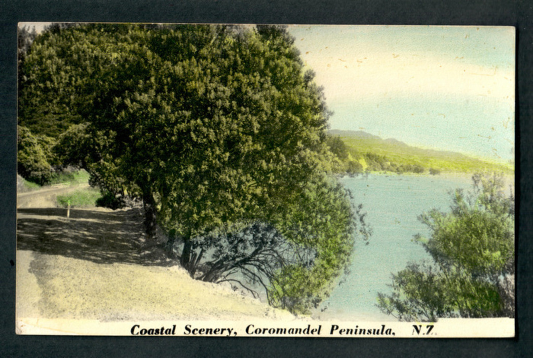 Tinted Postcard by N S Seaward of Coastal Scenery Coromandel Peninsula. - 46680 - Postcard image 0