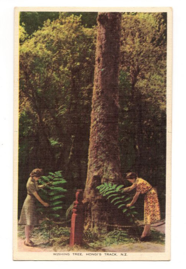 Coloured postcard of Wishing Tree Hongi's Track. - 46224 - Postcard image 0