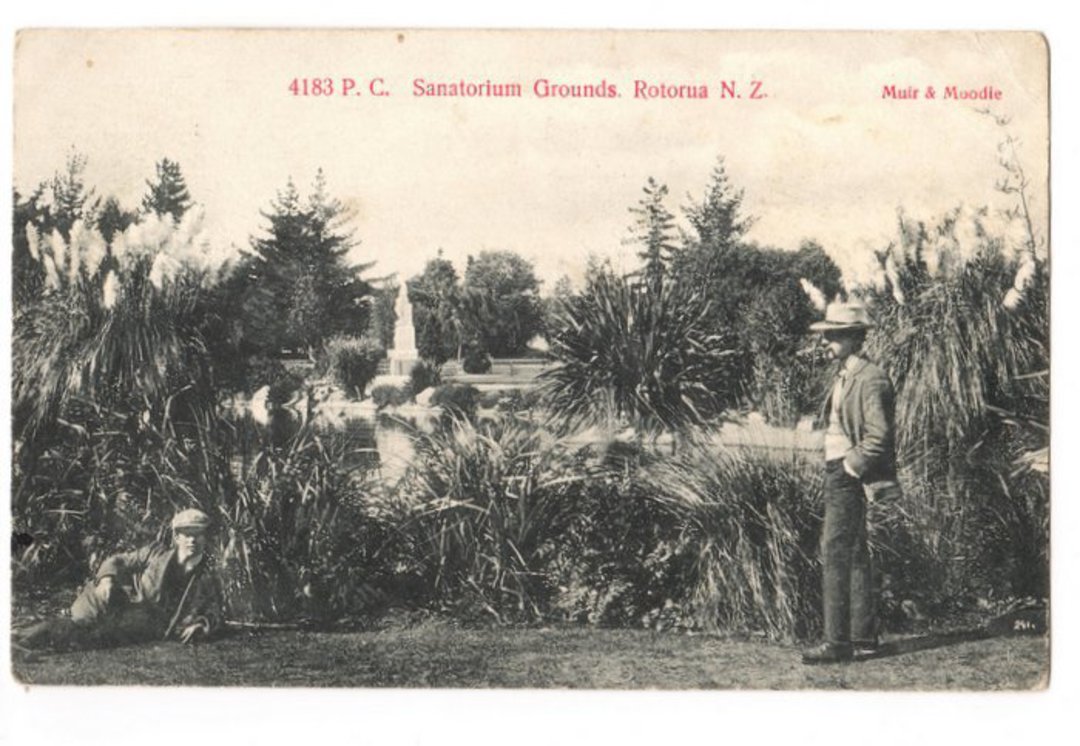 Postcard by Muir & Moodie of Sanatorium Grounds Rotorua. - 246053 - Postcard image 0