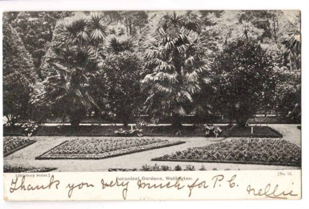 Postcard of Botannical Gardens Wellington. - 47612 - Postcard image 0